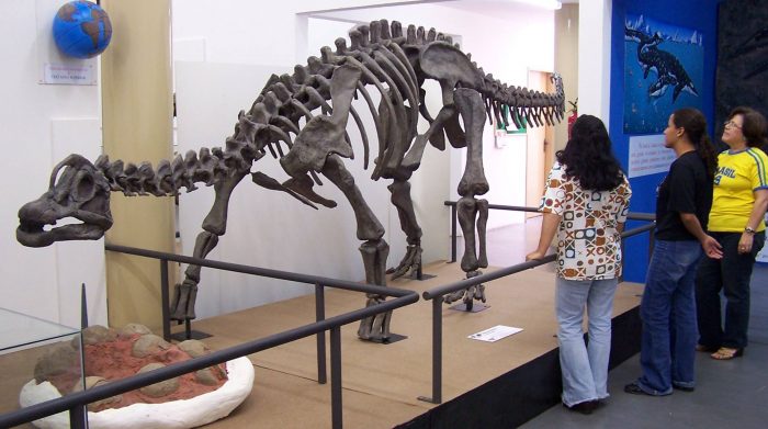 Dinossauros: Museu de História Natural de Taubaté