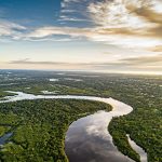 Dia da Amazônia